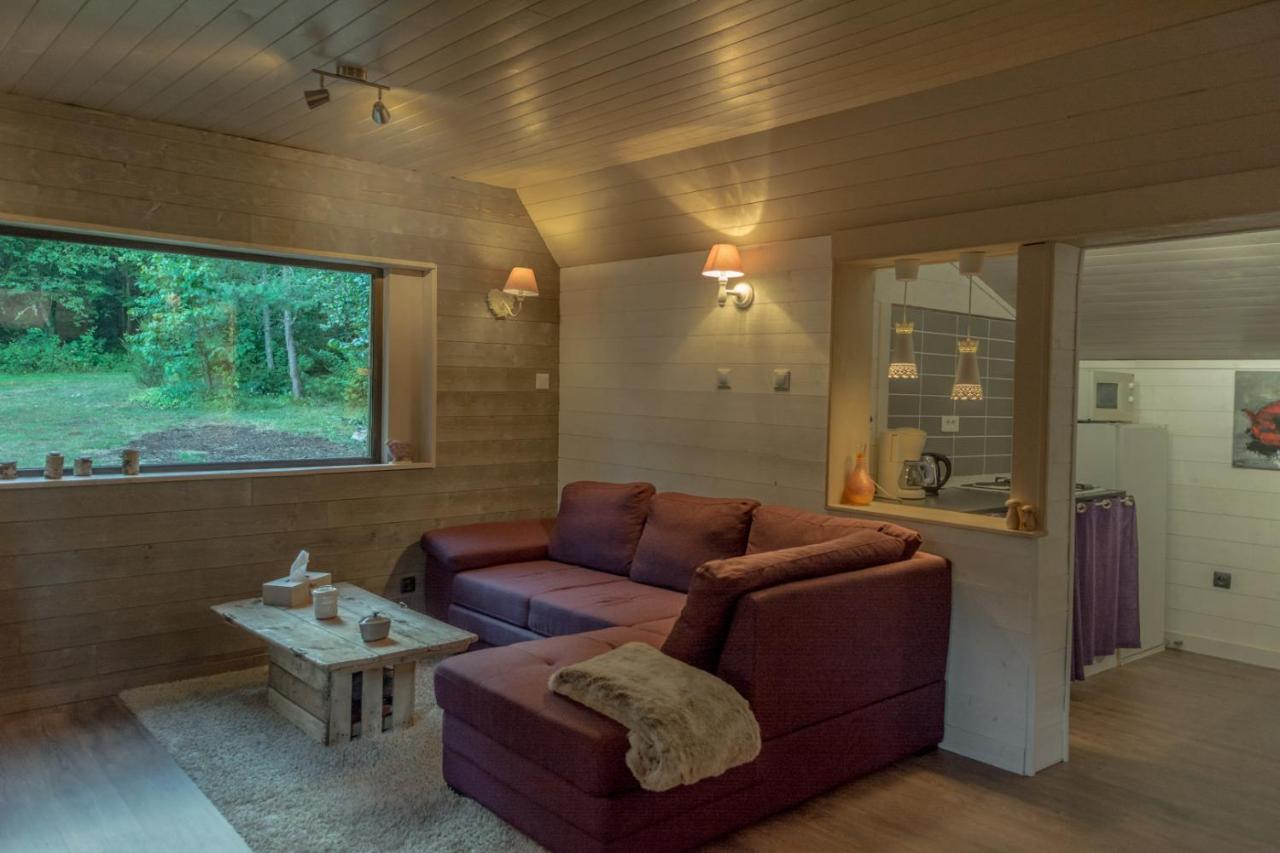 L'Esprit Du Bois Villa Aydat Exteriör bild
