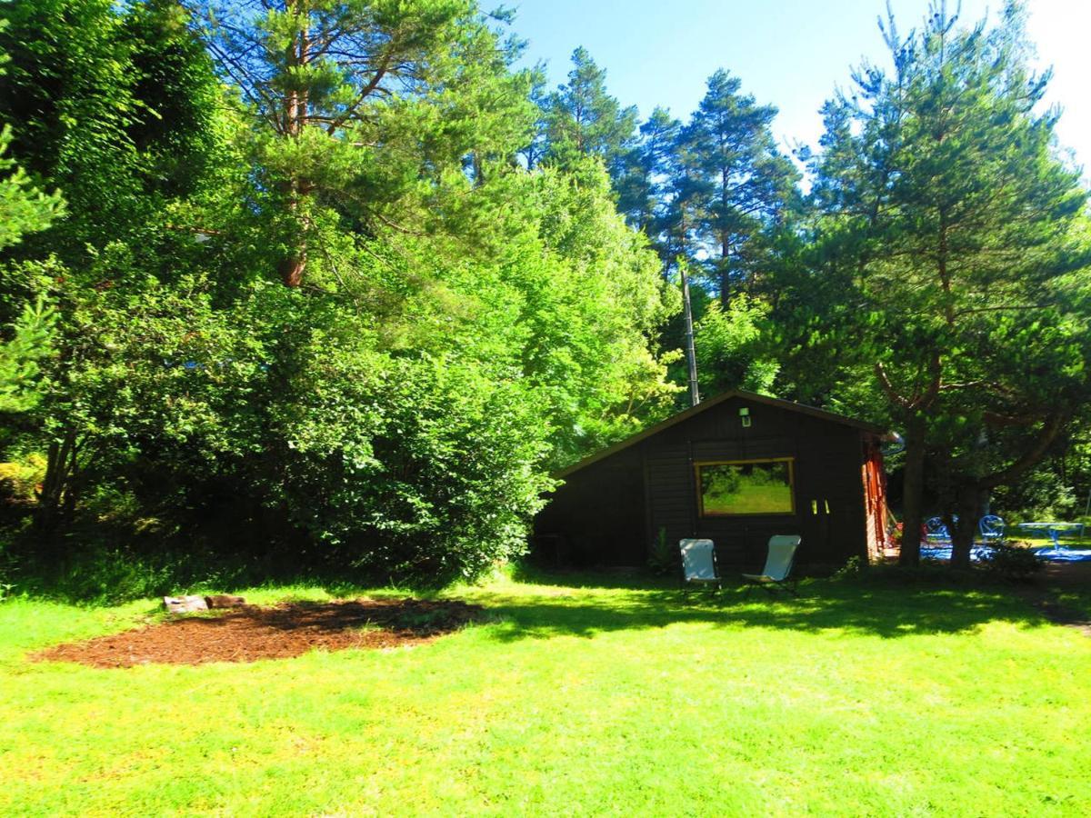 L'Esprit Du Bois Villa Aydat Exteriör bild