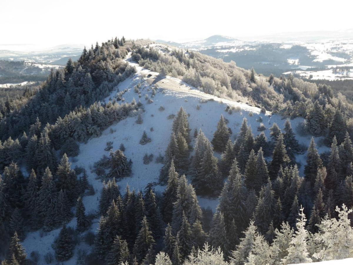 L'Esprit Du Bois Villa Aydat Exteriör bild